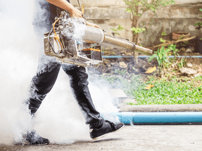 About Raccoon Removal Huntington - raccoon removal experts in Huntington