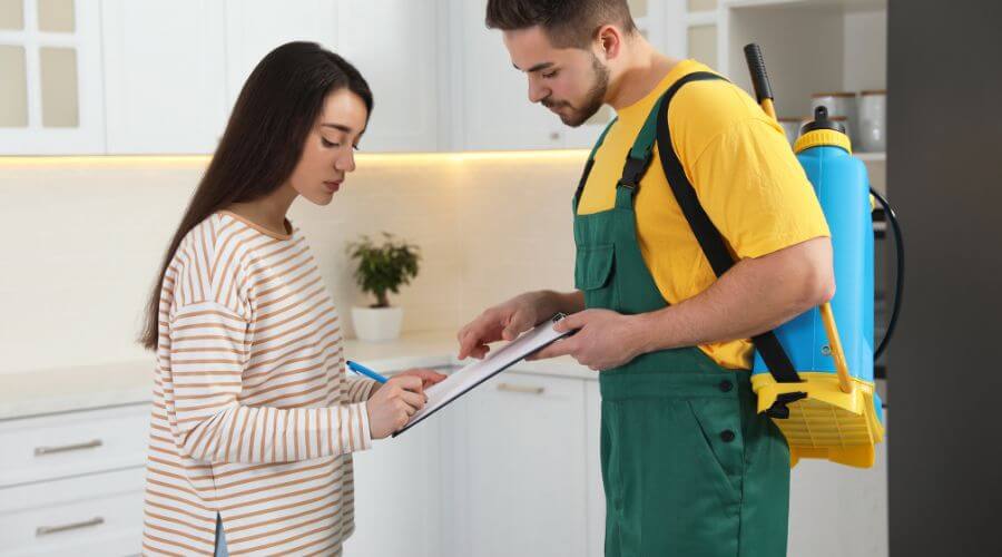 Professional raccoon removal services in Huntington - Raccoon Removal Huntington